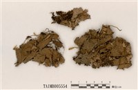 藏品(犬地卷)的圖片